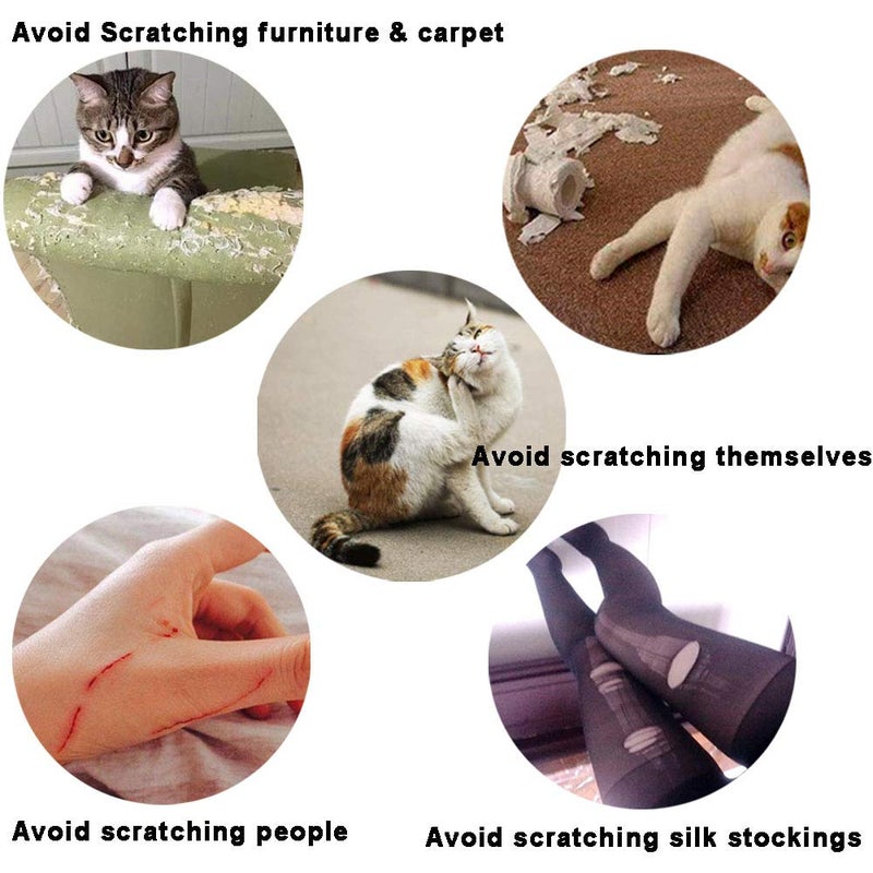 YMCCOOL 100pcs Cat Nail Caps/Tips Pet Cat kitten Paws Covers Control Paws of 10 Nails Caps and 5Pcs Adhesive Glue 5 Applicator with Instruction - Image 4